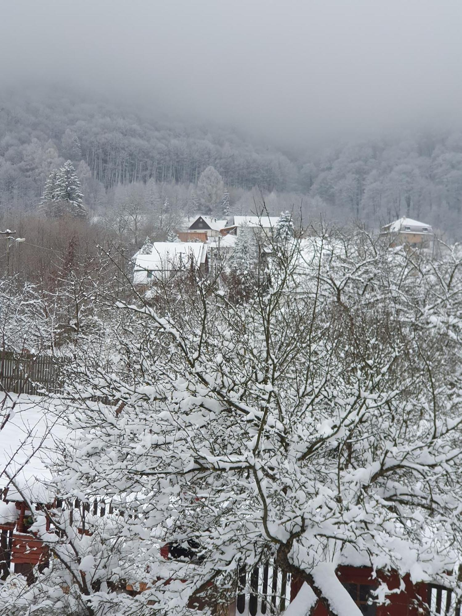 Pensiunea Capra Cu Trei Iezi Bran  Exterior photo